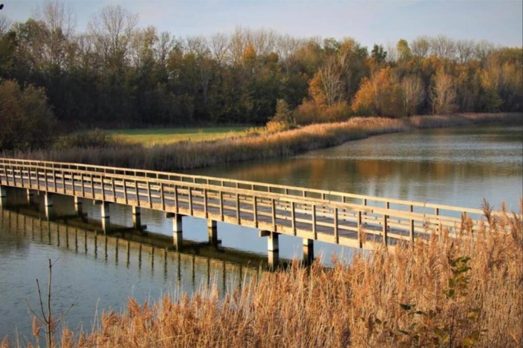 Huisje Vogelenzang Zeeland Sint-Annaland Extérieur photo