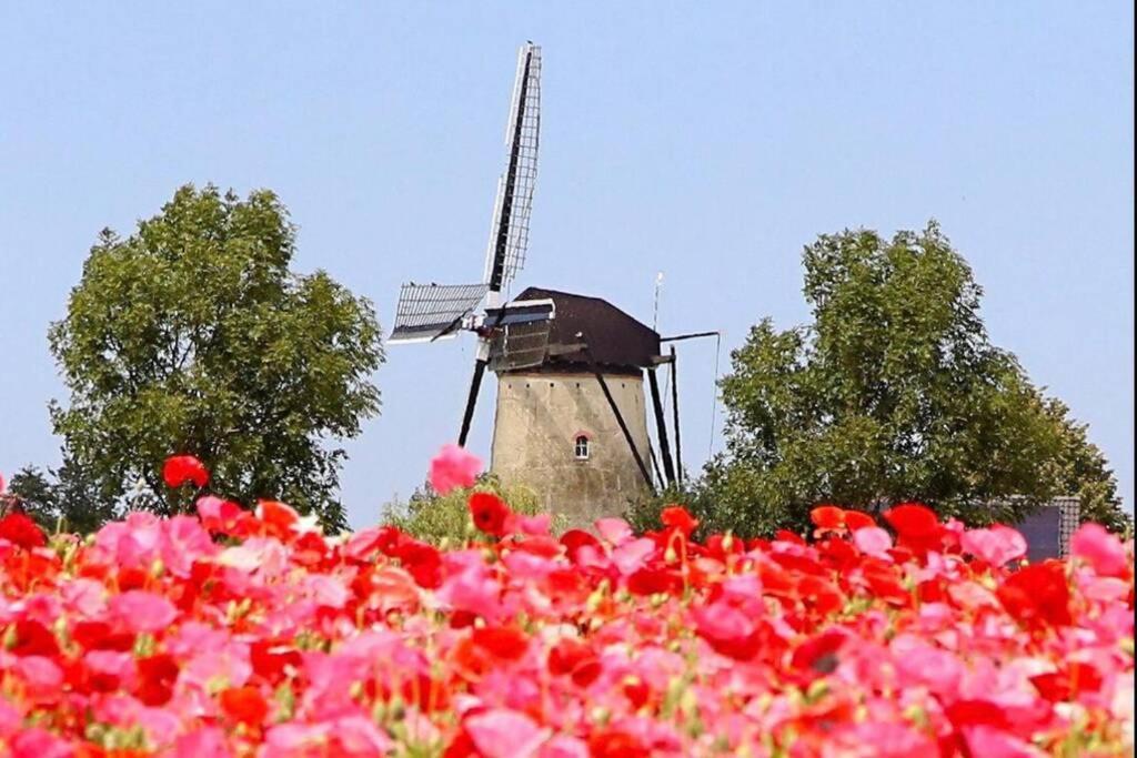 Huisje Vogelenzang Zeeland Sint-Annaland Extérieur photo
