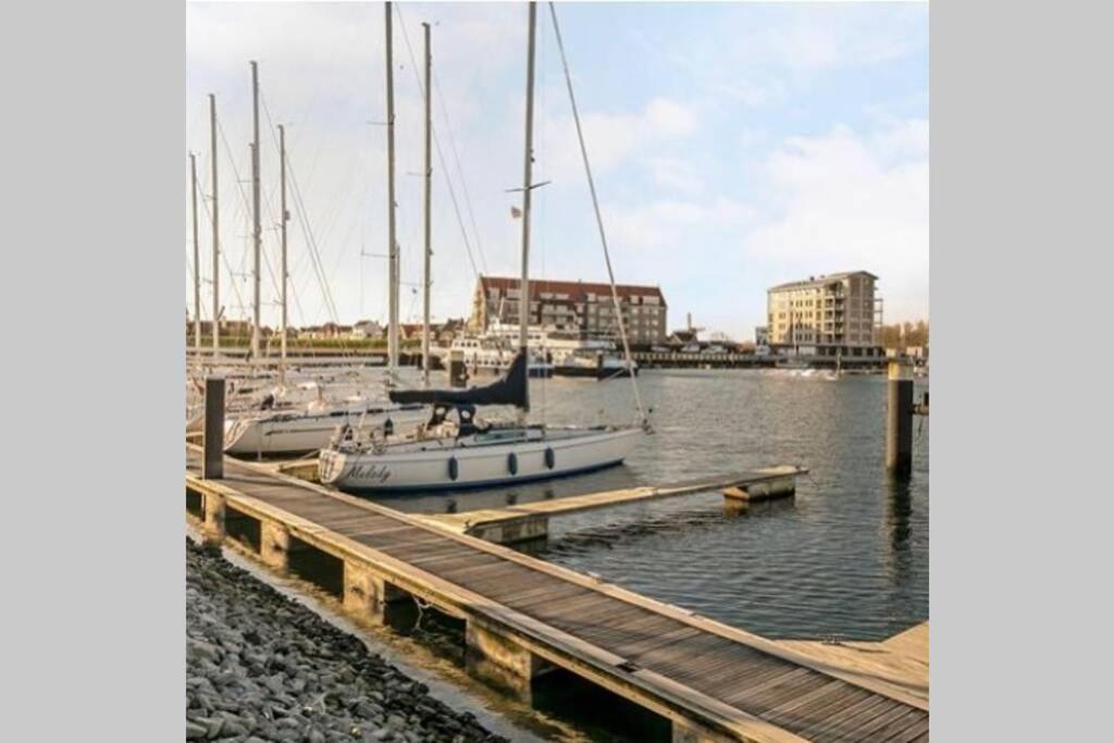 Huisje Vogelenzang Zeeland Sint-Annaland Extérieur photo