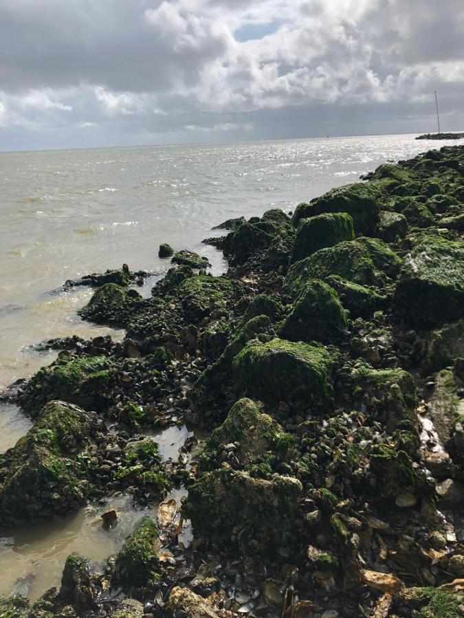 Huisje Vogelenzang Zeeland Sint-Annaland Extérieur photo