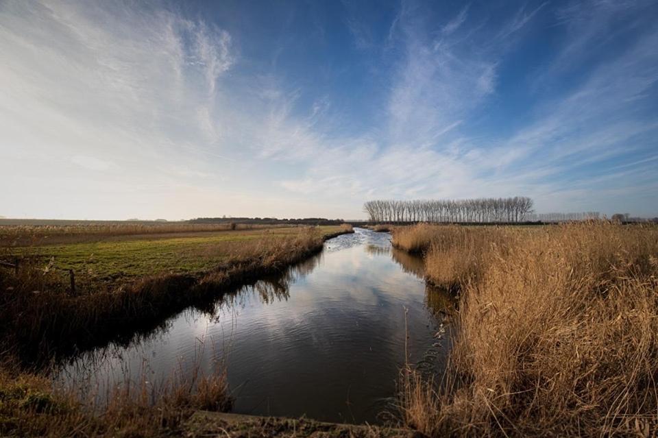 Huisje Vogelenzang Zeeland Sint-Annaland Extérieur photo