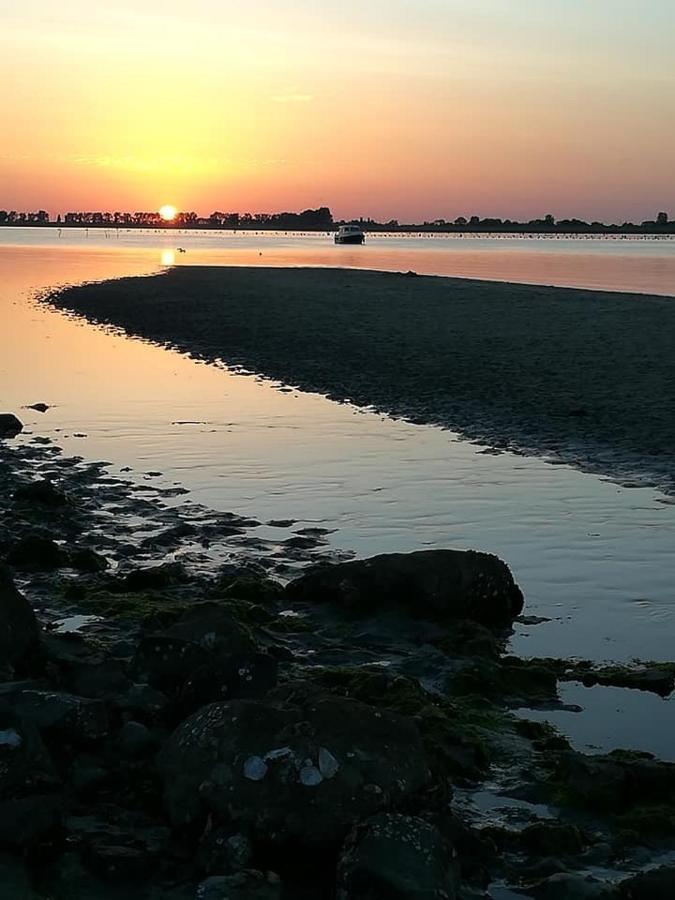 Huisje Vogelenzang Zeeland Sint-Annaland Extérieur photo