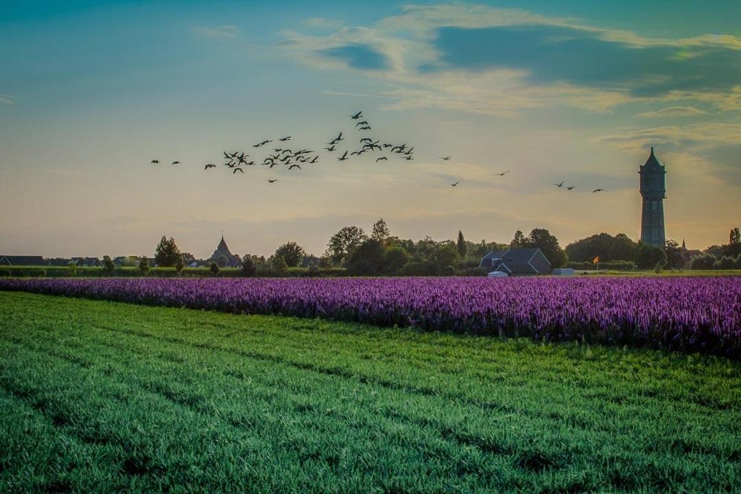 Huisje Vogelenzang Zeeland Sint-Annaland Extérieur photo